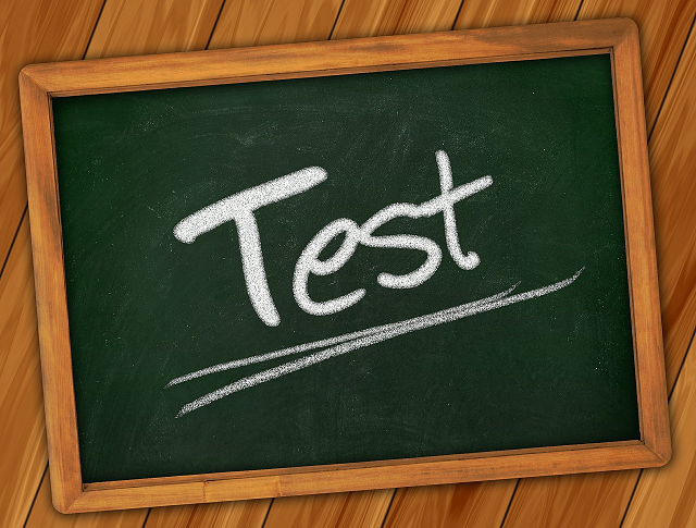 Our Experience with Standardized Testing